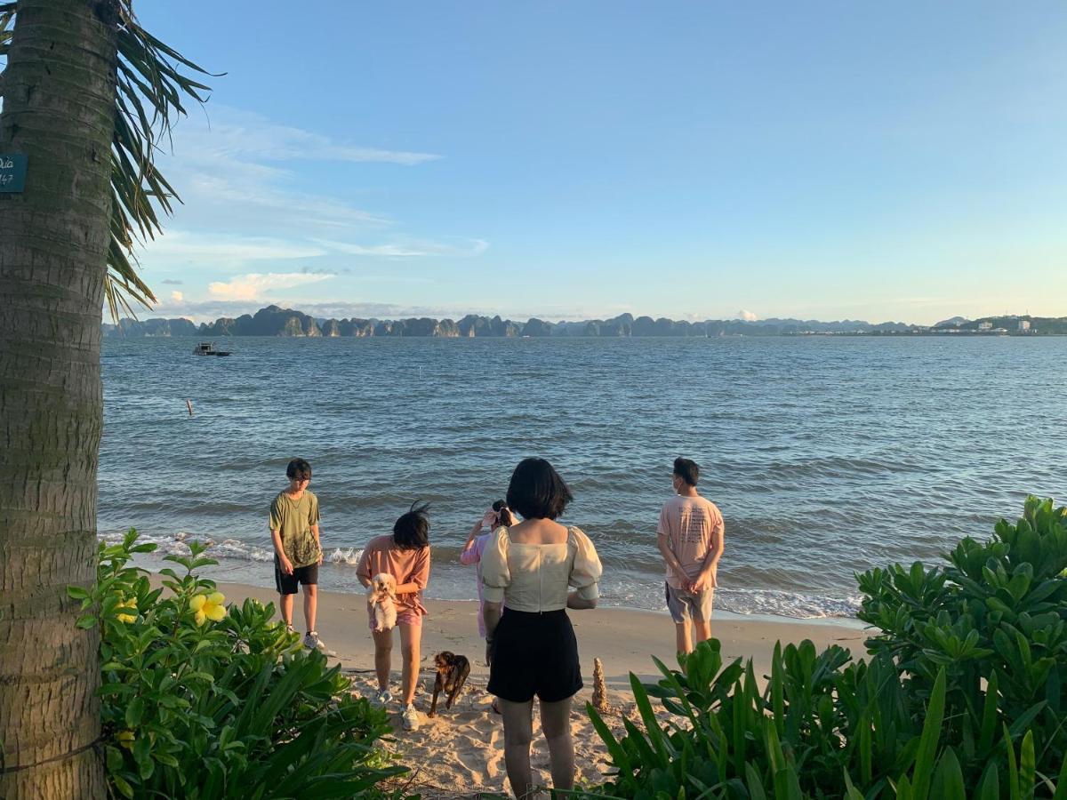 Tulip Homestay Ha Long Bagian luar foto